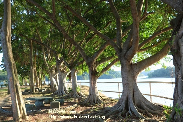 IMG_2743.JPG IMG_2743.JPG