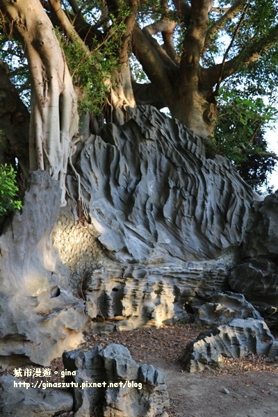 IMG_2761.JPG IMG_2761.JPG