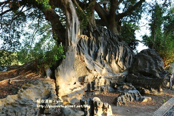 IMG_2767.JPG IMG_2767.JPG