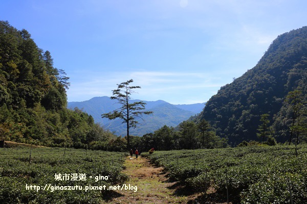 IMG_3003.JPG IMG_3003.JPG