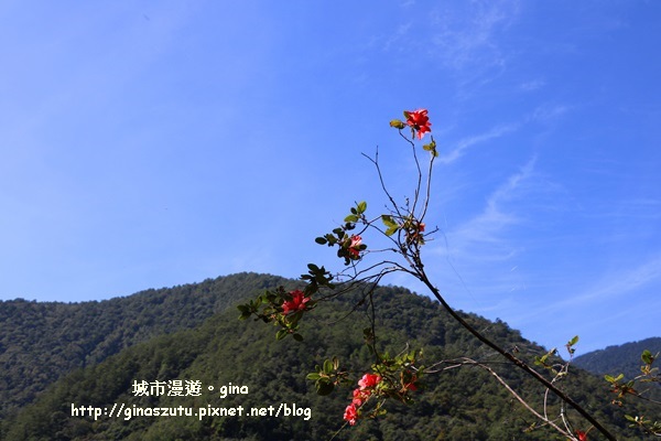 IMG_3004.JPG IMG_3004.JPG