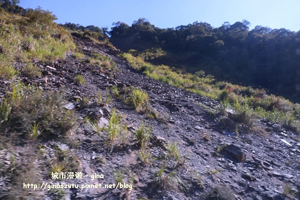 IMG_3143.JPG IMG_3143.JPG