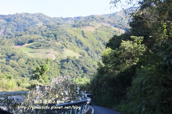 IMG_3150.JPG IMG_3150.JPG