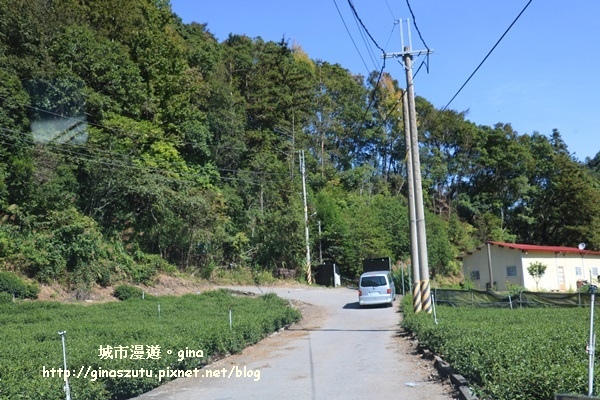 IMG_3166.JPG IMG_3166.JPG