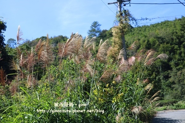 IMG_3164.JPG IMG_3164.JPG