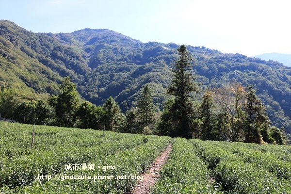 IMG_3172.JPG IMG_3172.JPG