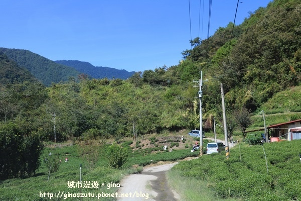 IMG_3178.JPG IMG_3178.JPG