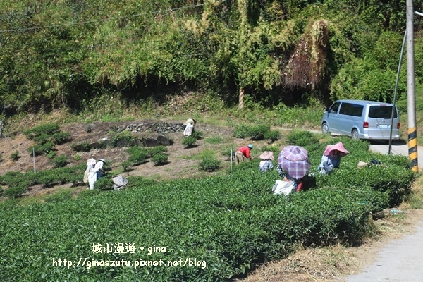 IMG_3180.JPG IMG_3180.JPG