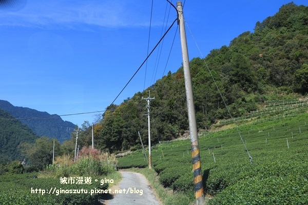 IMG_3182.JPG IMG_3182.JPG