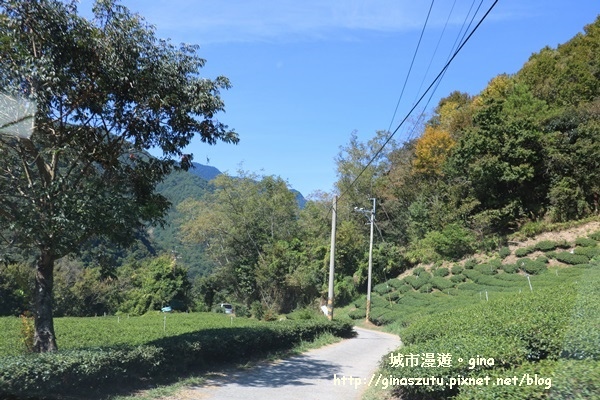 IMG_3184.JPG IMG_3184.JPG