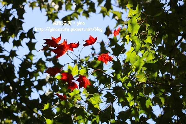 IMG_3190.JPG IMG_3190.JPG