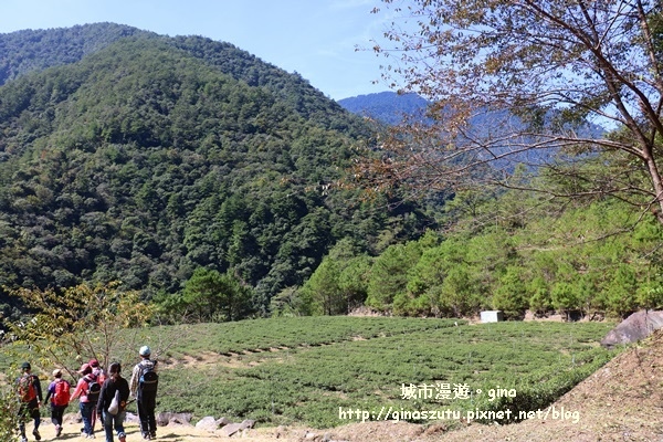 IMG_3191.JPG IMG_3191.JPG