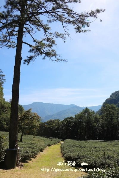 IMG_3194.JPG IMG_3194.JPG