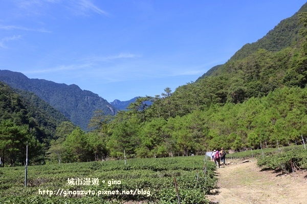 IMG_3196.JPG IMG_3196.JPG