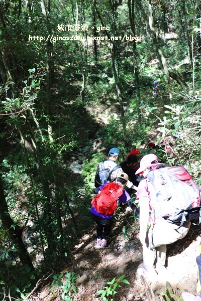 IMG_3203.JPG IMG_3203.JPG