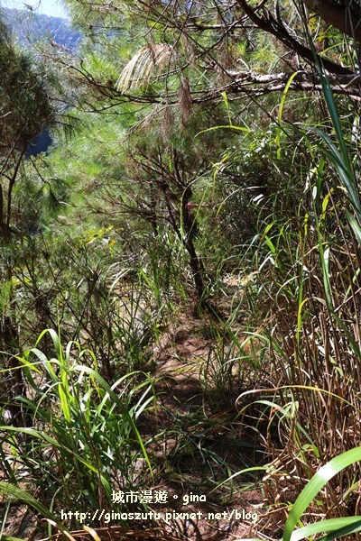 IMG_3199.JPG IMG_3199.JPG