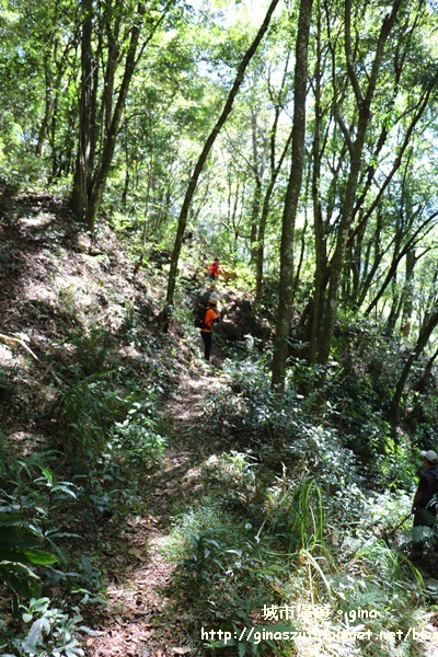 IMG_3206.JPG IMG_3206.JPG