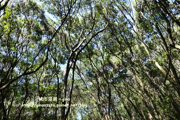 IMG_3213.JPG IMG_3213.JPG