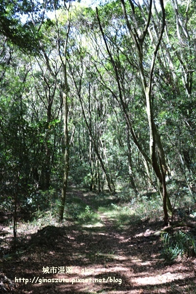 IMG_3212.JPG IMG_3212.JPG