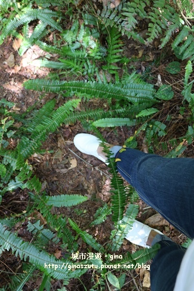 IMG_3214.JPG IMG_3214.JPG