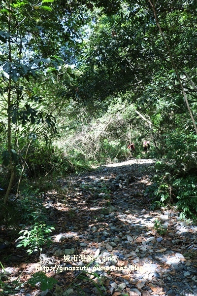 IMG_3215.JPG IMG_3215.JPG