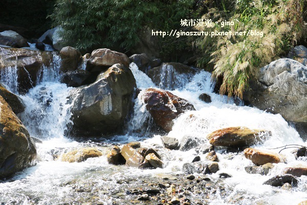 IMG_3239.JPG IMG_3239.JPG