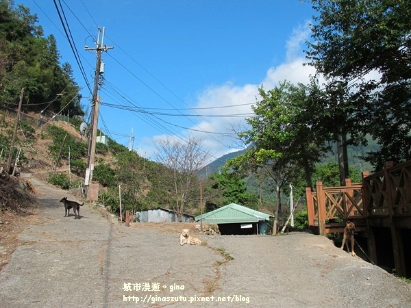 IMG_1825.JPG IMG_1825.JPG