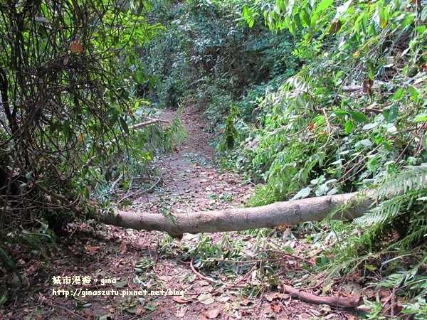 IMG_1838.JPG IMG_1838.JPG