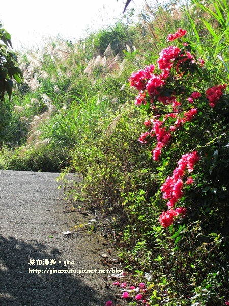 IMG_1840.JPG IMG_1840.JPG