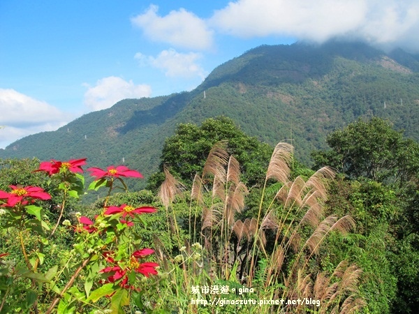 IMG_1846.JPG IMG_1846.JPG