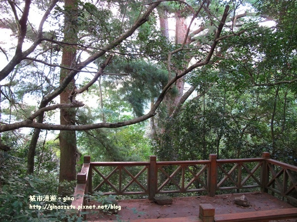 IMG_1854.JPG IMG_1854.JPG