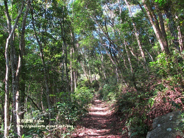 IMG_1856.JPG IMG_1856.JPG