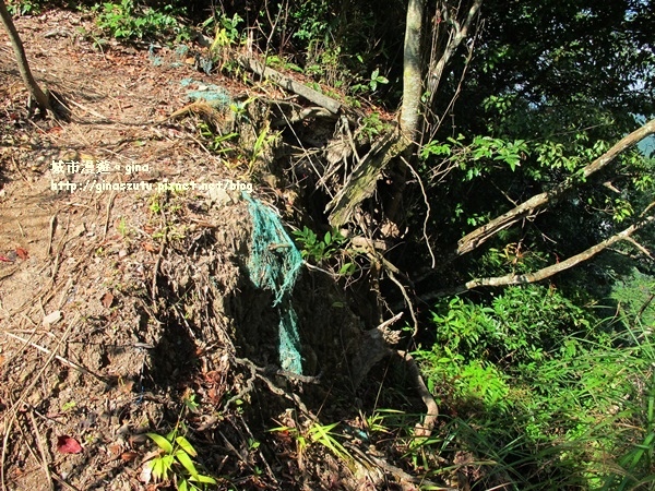 IMG_1860.JPG IMG_1860.JPG