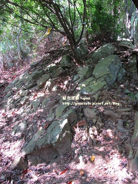 IMG_1866.JPG IMG_1866.JPG