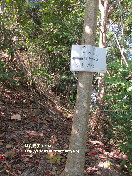 IMG_1869.JPG IMG_1869.JPG