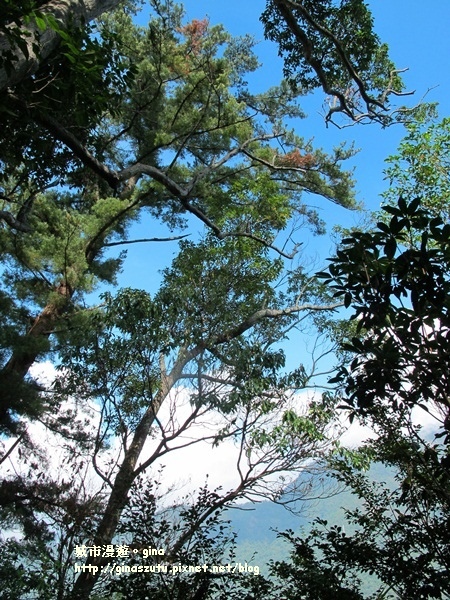 IMG_1882.JPG IMG_1882.JPG