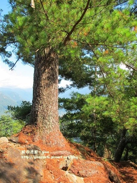 IMG_1888.JPG IMG_1888.JPG