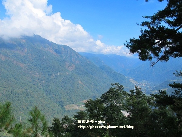 IMG_1893.JPG IMG_1893.JPG