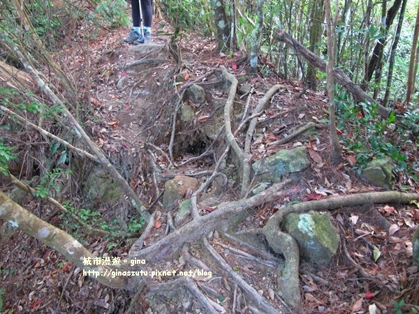 IMG_1905.JPG IMG_1905.JPG