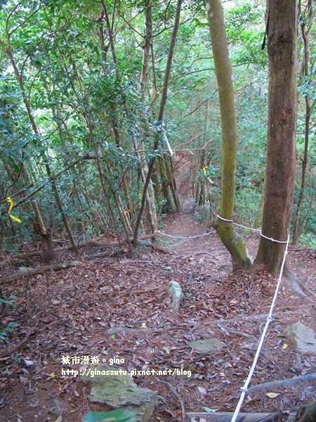 IMG_1907.JPG IMG_1907.JPG