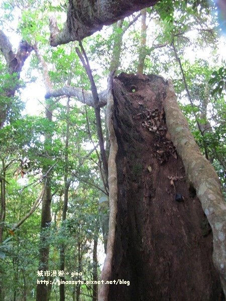 IMG_1914.JPG IMG_1914.JPG