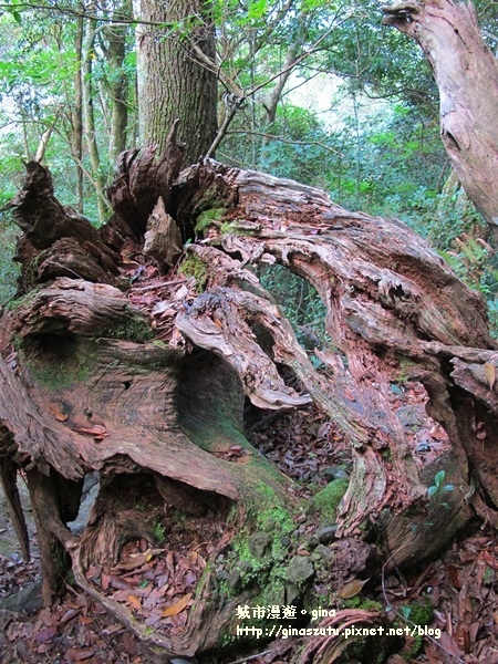 IMG_1923.JPG IMG_1923.JPG