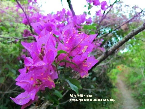 IMG_1928.JPG IMG_1928.JPG