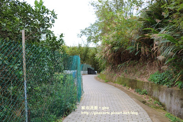 IMG_4862.JPG IMG_4862.JPG