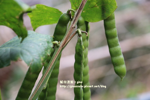 IMG_4863.JPG IMG_4863.JPG