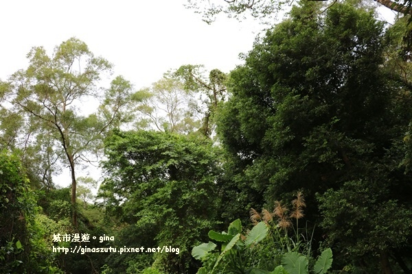 IMG_4886.JPG IMG_4886.JPG