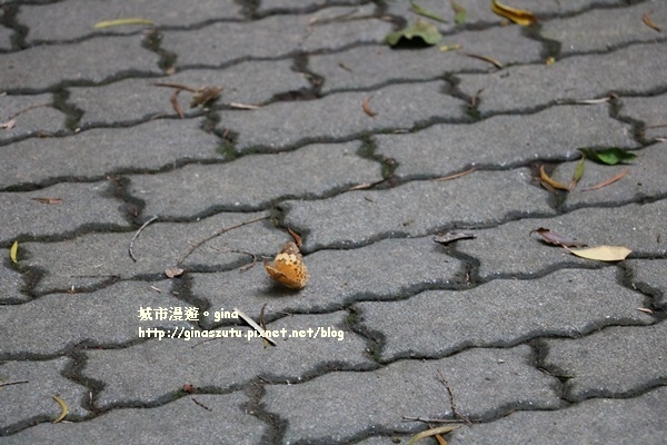 IMG_4888.JPG IMG_4888.JPG