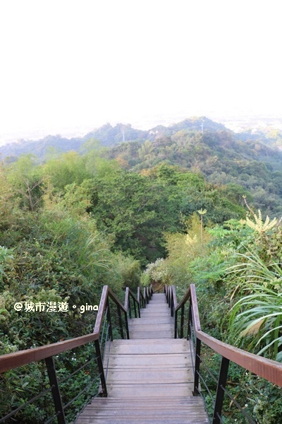 IMG_5602.JPG IMG_5602.JPG