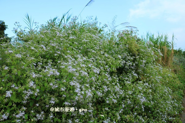 IMG_5659.JPG IMG_5659.JPG