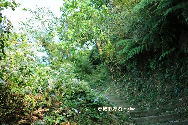 IMG_5675.JPG IMG_5675.JPG